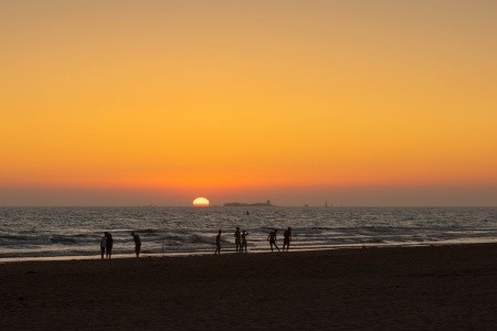 Valentin Sancti Petri - 41