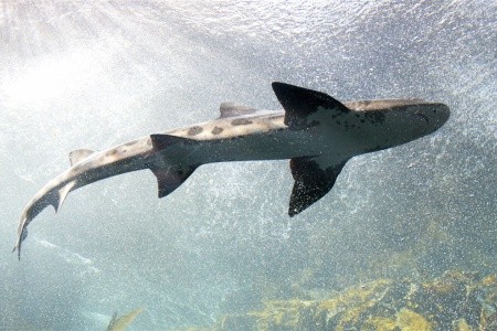 BARCELONA A GIRONA s pobytem u moře LET - 6