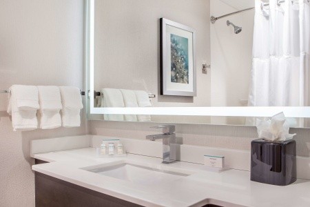 USA New York Hilton Garden Inn Nyc Financial Center / Manhattan Downtown 11 dňový pobyt Raňajky Letecky Letisko: Viedeň September 2025 (30/09/25-10/10/25)