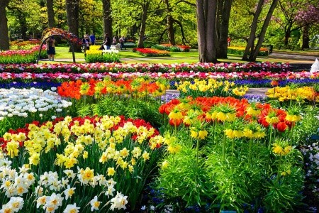 Země Beneluxu a květinové korzo - 4