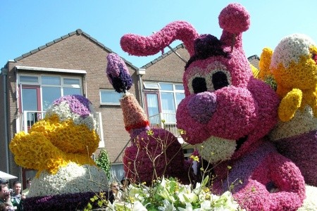 Země Beneluxu a květinové korzo - 12