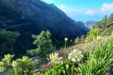 Madeira - květinová a turistická - 27