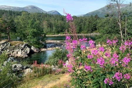 VODOPÁDY, LEDOVCE A FJORDY NORSKA - 10