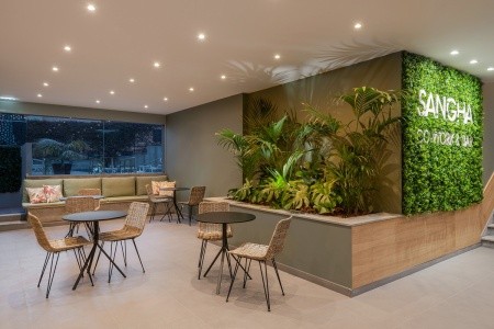 Dorisol Buganvilia - 3