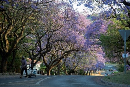 Shongololo Express - The Southern Cross - 5