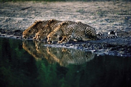 Shongololo Express - The Southern Cross - 8