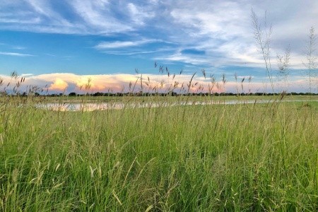Shongololo Express - The Southern Cross - 14