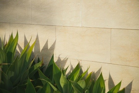 Sheraton Salobre Golf Resort & Spa - 66