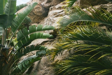 Sheraton Salobre Golf Resort & Spa - 108