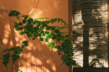 Sheraton Salobre Golf Resort & Spa - 124