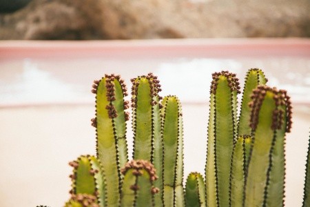 Sheraton Salobre Golf Resort & Spa - 144