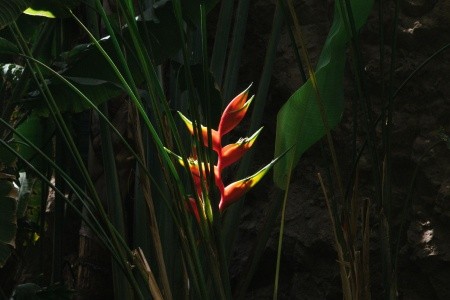 Sheraton Salobre Golf Resort & Spa - 145