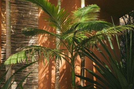 Sheraton Salobre Golf Resort & Spa - 161