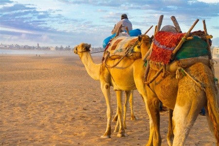 Maroko- kráľovské mestá a magická púšť, Casablanca, Fez, Aga - Last Minute Marakéš