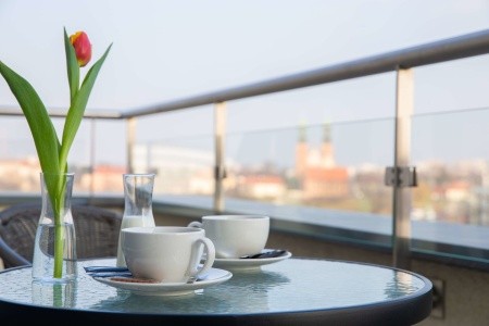 Poľsko  Park Inn By Radisson Poznan (Poznan) 3 dňový pobyt Raňajky Vlastná August 2026 (19/08/26-21/08/26)