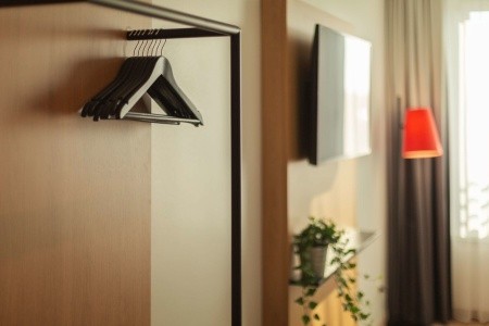 the niu Sparrow - 29