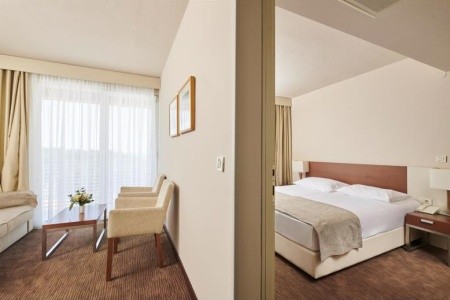 Albatros Plava Laguna - 15