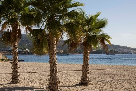 Globales Panama (Ex. Ola Panama) - 59