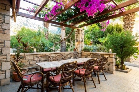 Summer Memories - 15