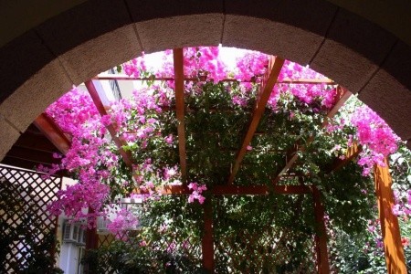 Summer Memories - 28