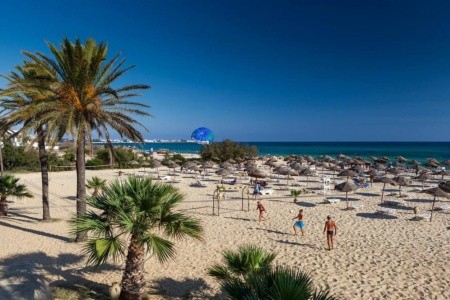 Sentido Phenicia - 10