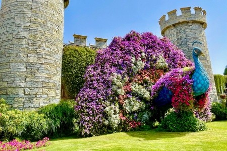 DUBAJ a ABU DHABI, DUBAJ a ABU DHABI - 31