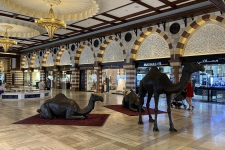 DUBAJ a ABU DHABI, DUBAJ a ABU DHABI - 58