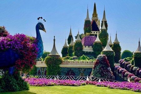 DUBAJ a ABU DHABI pro náročné, DUBAJ a ABU DHABI pro náročné - 29