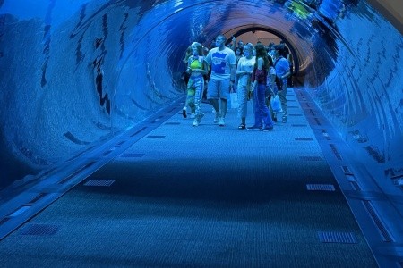 DUBAJ a ABU DHABI pro náročné, DUBAJ a ABU DHABI pro náročné - 51