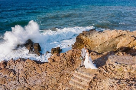 The Royal Blue - 229