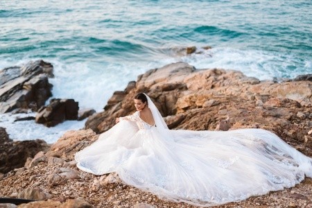 The Royal Blue - 230