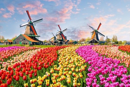 3-Dňový Zájazd Do Holandska S Návštevou Kvetinovej Výstavy