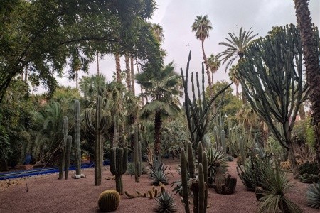 Maroko – za Berbery do pouští, oáz  a Vysokého Atlasu - 5