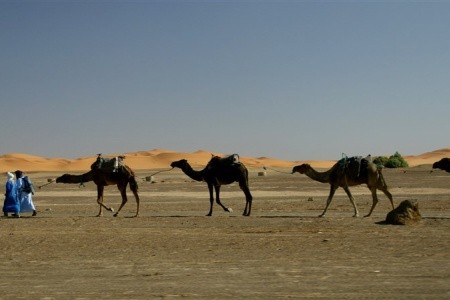 Maroko – za Berbery do pouští, oáz  a Vysokého Atlasu - 13