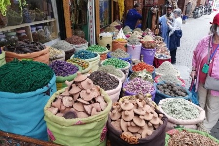 Maroko – za Berbery do pouští, oáz  a Vysokého Atlasu - 17