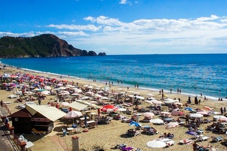 Kleopatra Royal Palm - 16