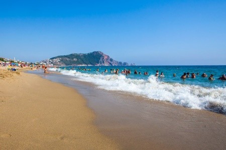 Kleopatra Royal Palm - 17