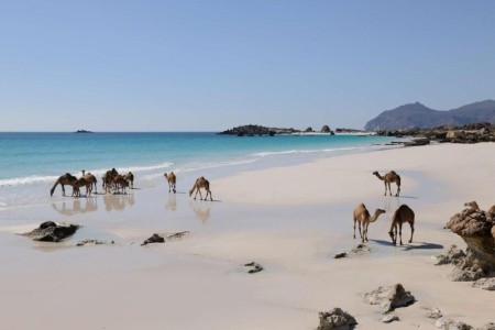 Last Minute zájezdy do Ománu v lednu 2023 - Alila Hinu Bay