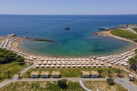 Lonicera Premium - 5