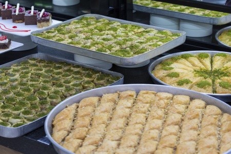 Lonicera Premium - 19