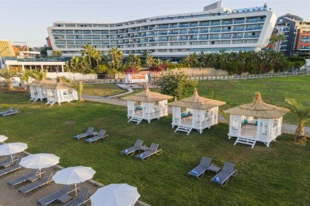 Lonicera Premium - 26