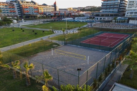 Lonicera Premium - 29