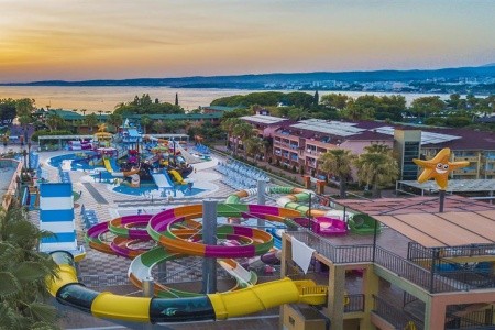 Lonicera Premium - 30