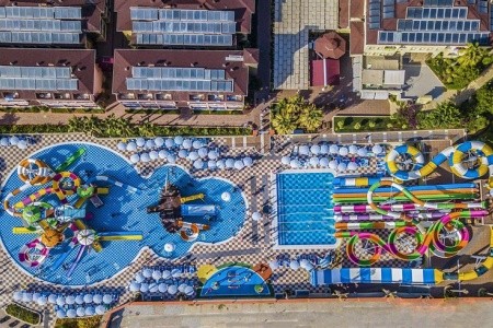 Lonicera Premium - 31