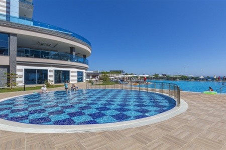 Lonicera Premium - 32