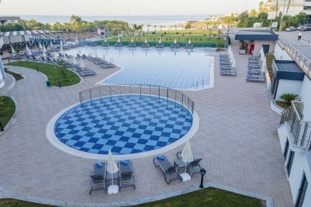 Lonicera Premium - 33