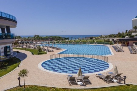 Lonicera Premium - 34