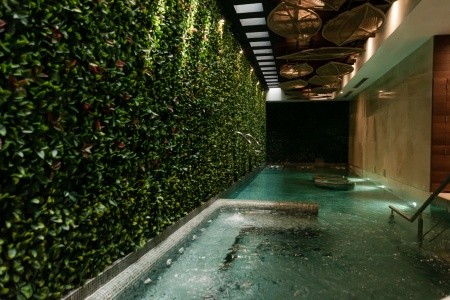 Mexiko Playa del Carmen The Reef 28 13 dňový pobyt All Inclusive Letecky Letisko: Viedeň December 2025 ( 9/12/25-21/12/25)