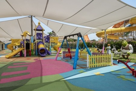 Papillon Belvil - 204