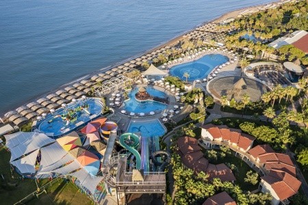 Papillon Belvil - 207